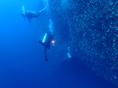 P6270002