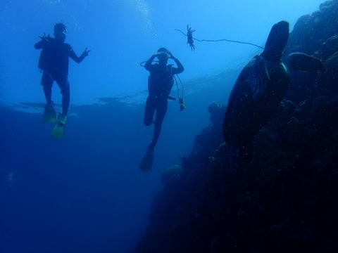 P8120083 (640x480)