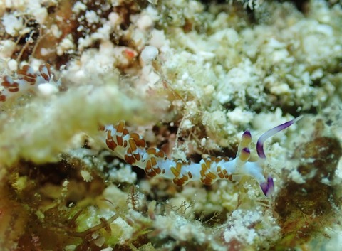 PB260222 (640x470)