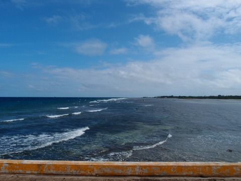 P1111589 (640x480)