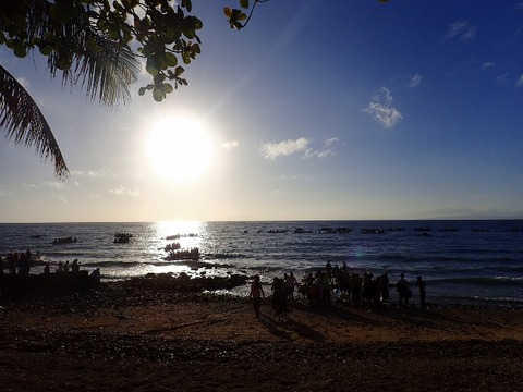 P3210305 (640x480)