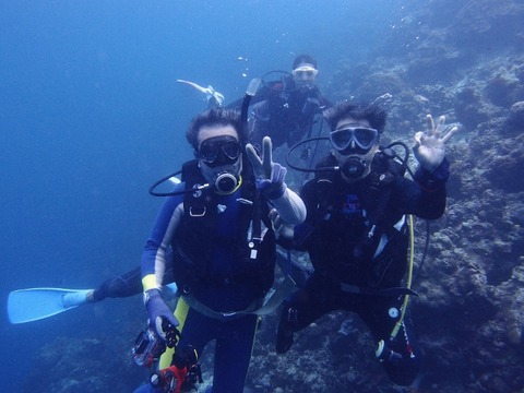 P1191803 (640x480)