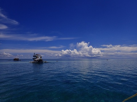 P5200021 (640x480)