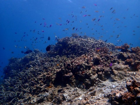 P1300241