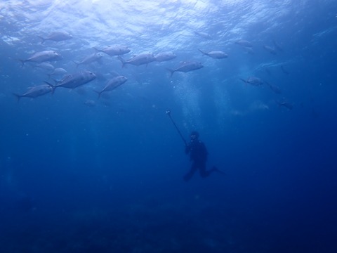P3080045