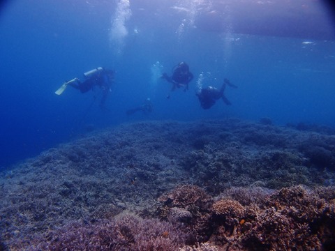 P1017944 (640x480)
