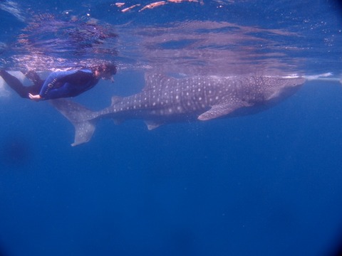 P4013569 (640x480)