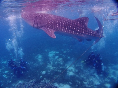 P1032552 (640x480)