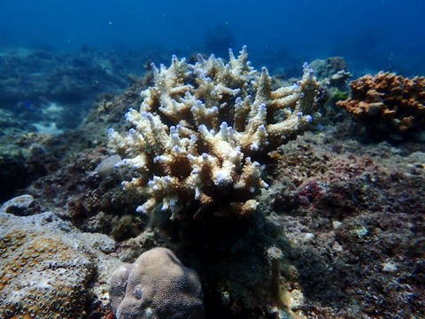 P6020033
