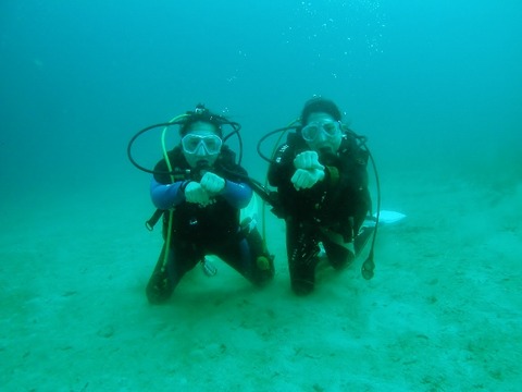 P1010062 (640x480)