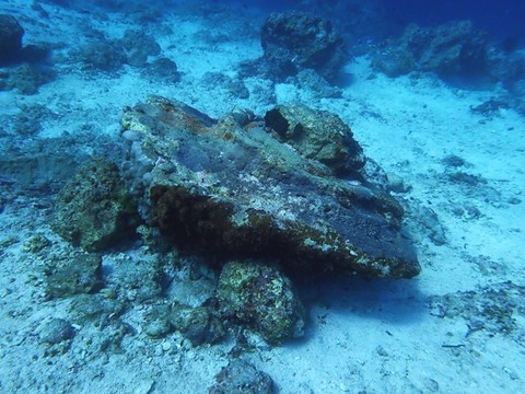P1300130