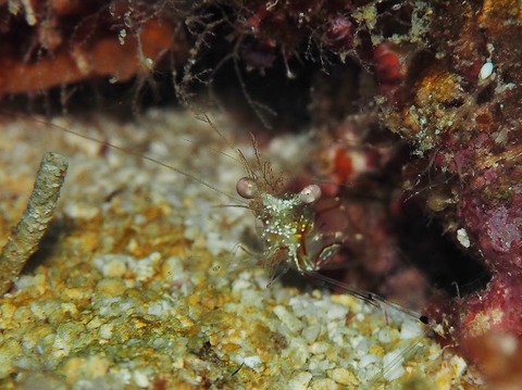P3060039 (640x479)