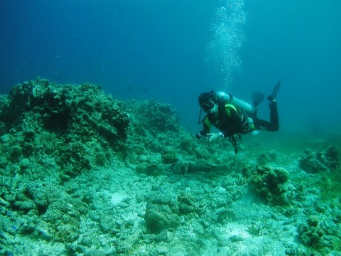 P1010009 (640x480)