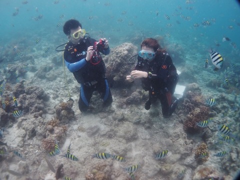 PB260164 (640x480)