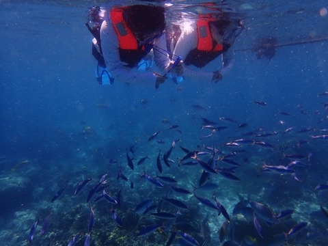 P6300194 (640x480)