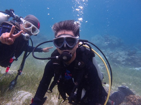 P1191793 (640x480)