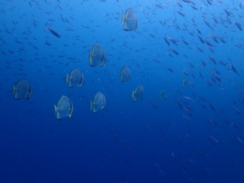 P7260009