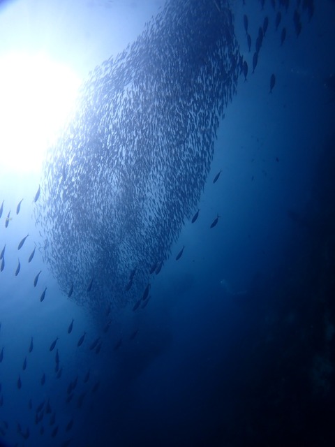 P5130132