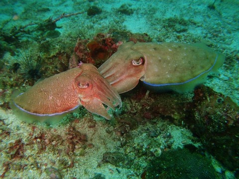P3192564 (640x480)