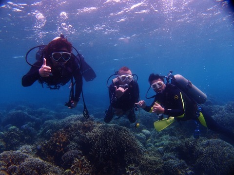 P1308223 (640x480)