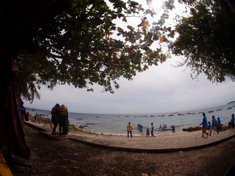 P2040650 (640x480)