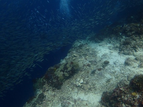 Messenger_creation_DECE4D09-2CDB-4515-8DC5-EAD0843C1471