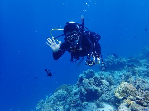 P3250083 (640x480)