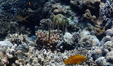 P3150313 (640x374)