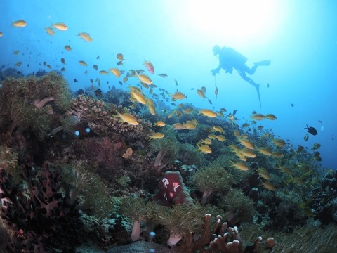 _2030141 (640x480)