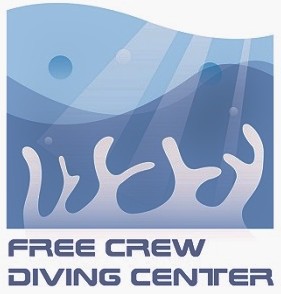 FCDC-logo8 (281x294)