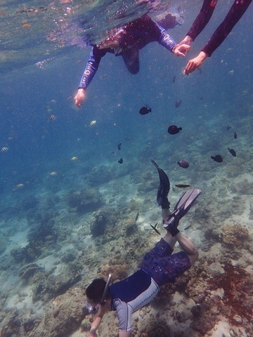 P9120915 (480x640)