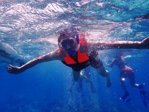 PA130029 (640x480)