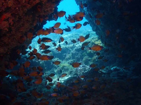 received_514573738085809