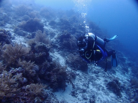 PB260591 (640x480)