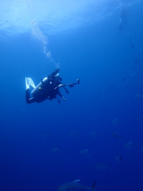 P6130040
