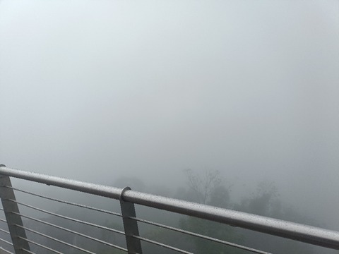 IMG20260101100946