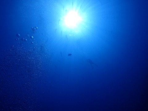 P5200092