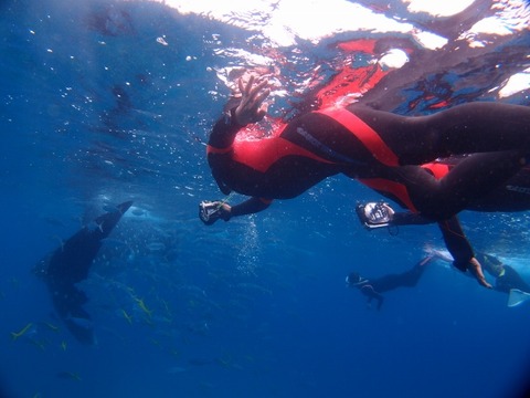 P2040694 (640x480)