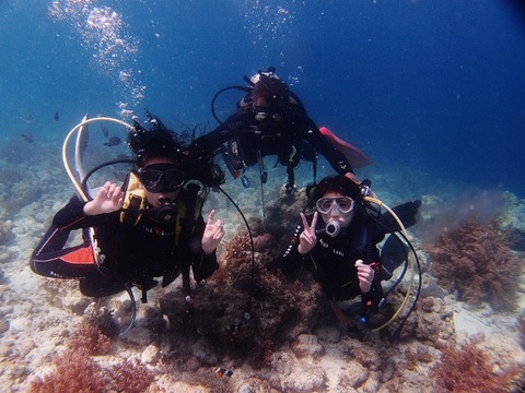 P2251255 (640x480)