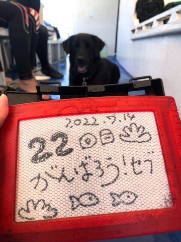 293139155_1241949083241996_1804975643597290976_n