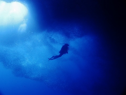 P1013634 (640x480)