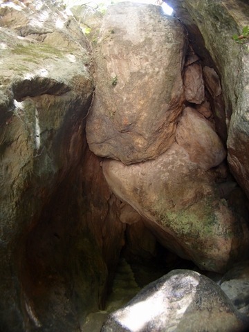 P3200346 (480x640)