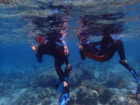 P3212279 (640x480)