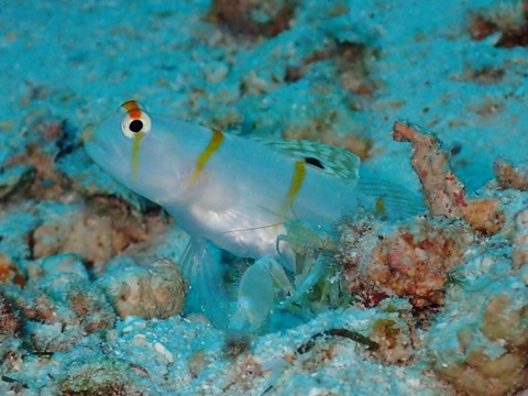 P8250148 (640x480)