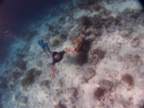 PA253386 (640x480)