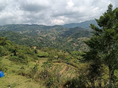 IMG20260516100859
