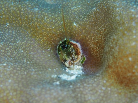 PA270063 (640x480)
