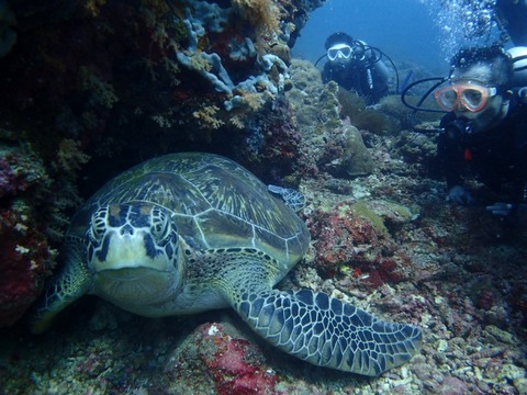 Messenger_creation_CEA086B7-9F7C-491F-A9F5-13F4BE3ABC1F