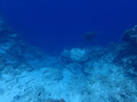 P2230080