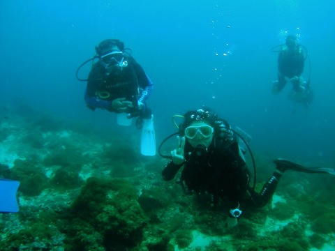 P1010029 (640x480)
